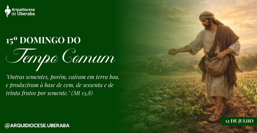15º Domingo do Tempo Comum