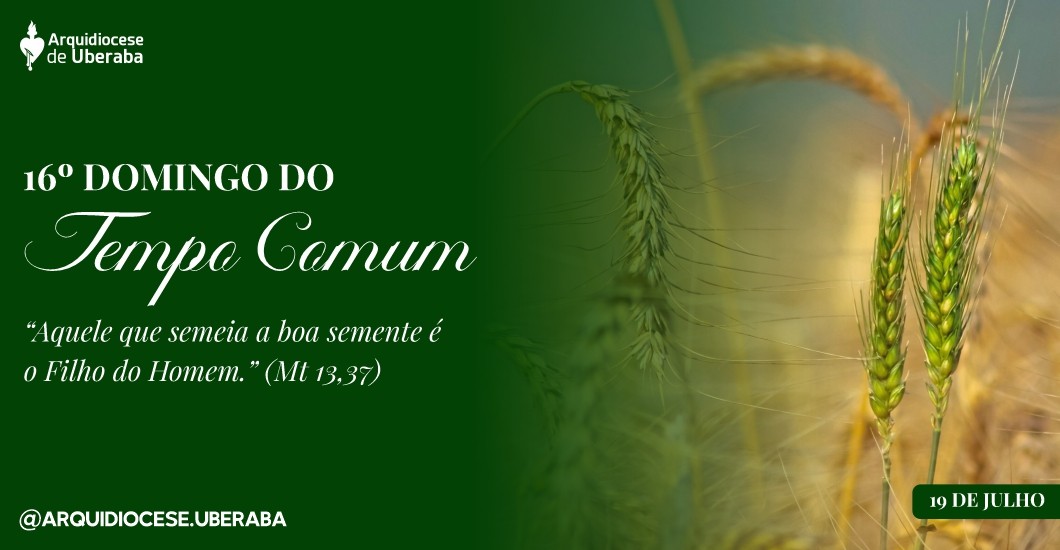 16º Domingo do Tempo Comum
