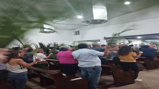 Domingo de Ramos: fiéis praticam gesto concreto de Solidariedade