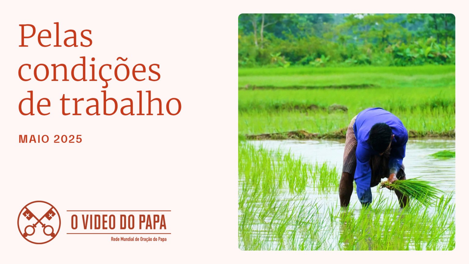Um trabalho digno para todos: a mensagem dos três últimos Papas